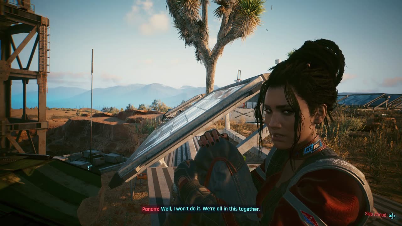 Cyberpunk 2077 Talk to Panam before Raid
