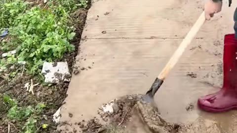 💡✨ A Clever Hack You'll Wish You Knew Sooner | LifeHacksDaily