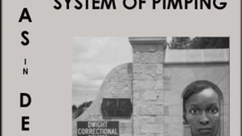 Niggas in Denial: Pimping the System and The System of Pimping by E. Michael Jones [FULL AUDIOBOOK]