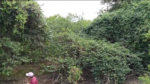 Experiências do Sertão Oficial