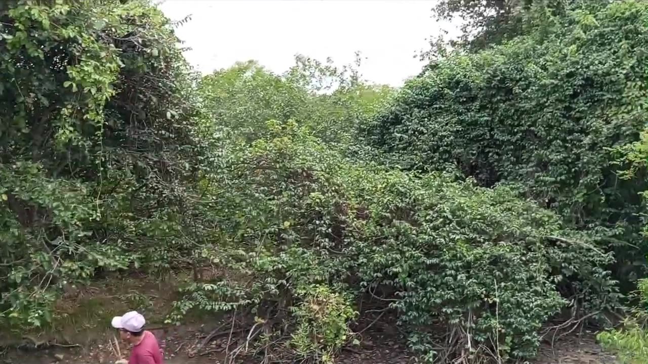 Experiências do Sertão Oficial