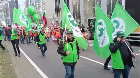 Agricoltori pugliesi protestano a Bruxelles: «No all'economia di guerra che ci impoverisce»