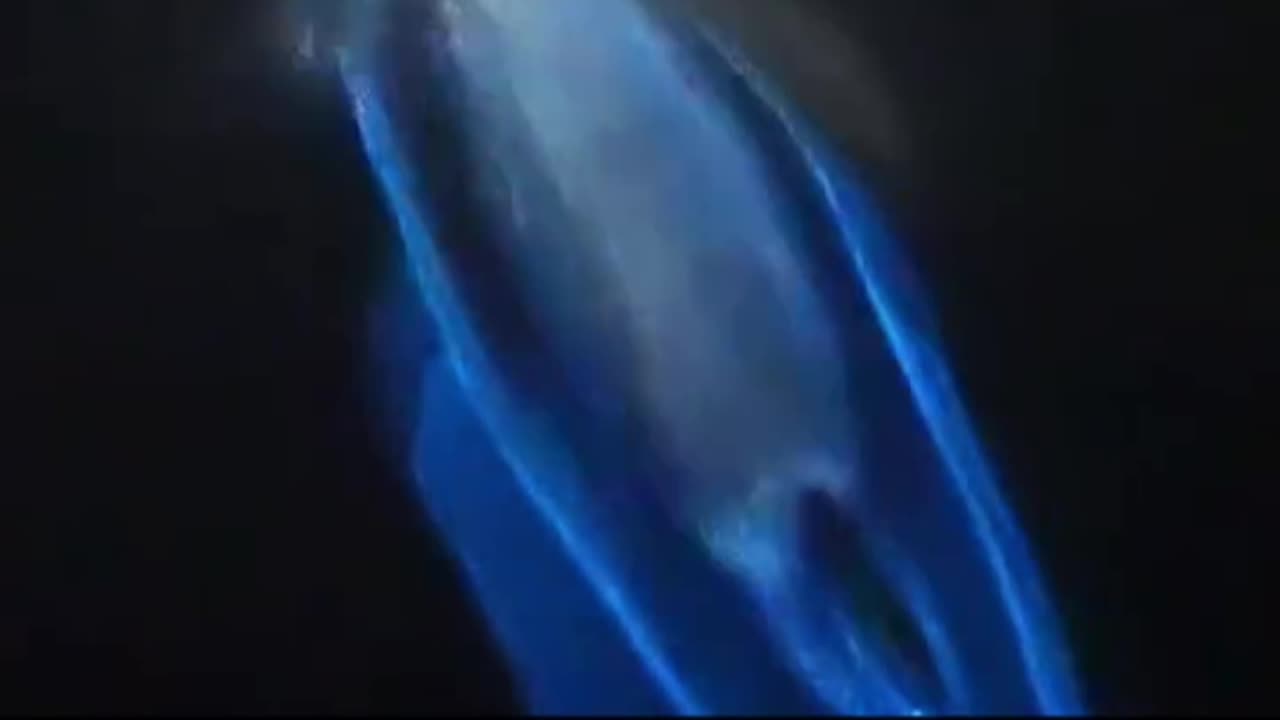 🌌 Incredibile! I delfini che brillano di luce blu nelle acque della California! 💙🐬