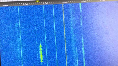 464.500 NFM 67.0 Hz & 136.5 Hz PL Tones Two Users Tower Cranes On Itinerant Frequency 12 31