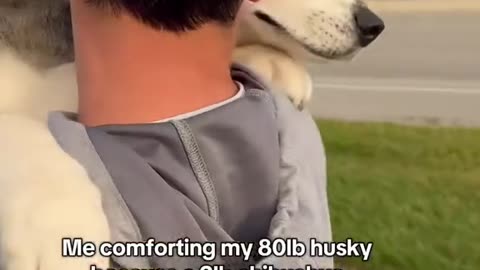 Dog love ❤💕