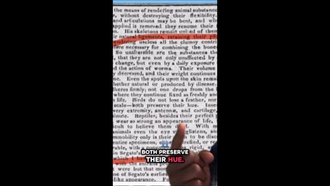 Des artefacts étranges ont été découverts près du lac Cuitzeo, au Mexique.