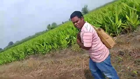 Indian farming vlogs