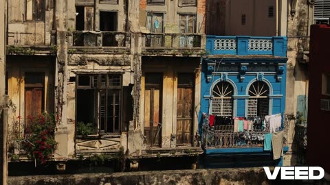 Havana Nights