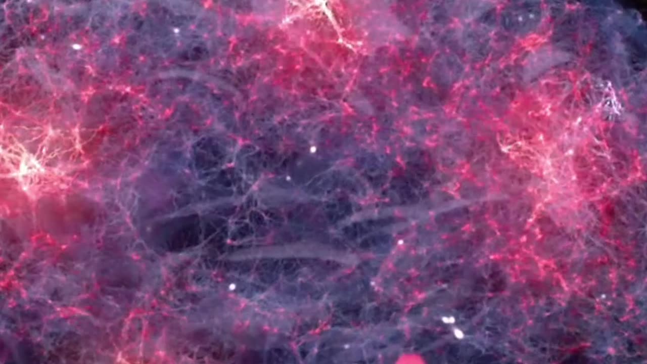 Kid with ADHD? Test the Gut! #shorts