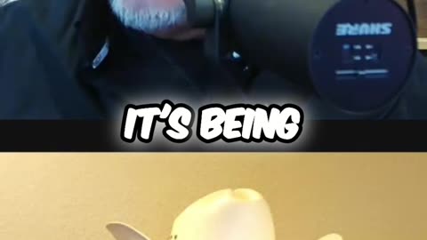 Taxes ARE THEFT: You're a Victim, Not a Cheerful Giver!