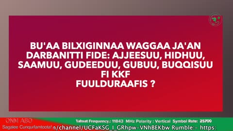 ONM-ABO Gurraandhala 1-2025 itti dhiyaadhaa!