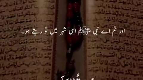 Beshak 💯♥️✨🕊️