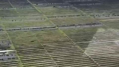 A single hail storm in Damon, Texas, destroys thousands of acres of solar panels.