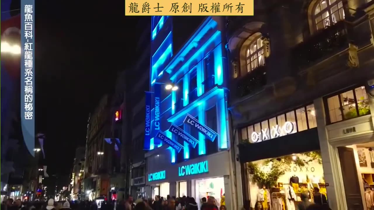 【龍爵士】龍魚百科 紅龍名稱的秘密