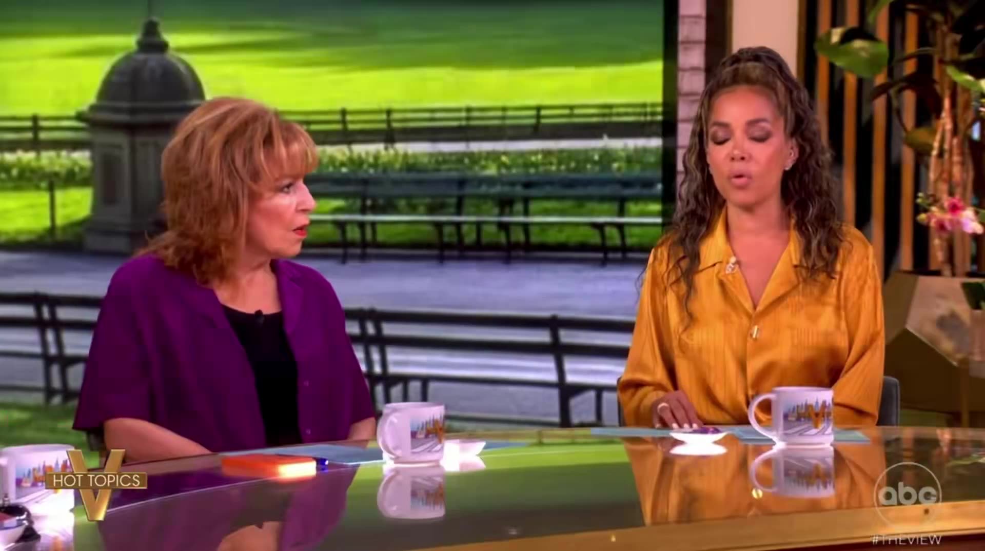 Sunny Hostin Demands Reparations Despite Family's Slave Ownership History