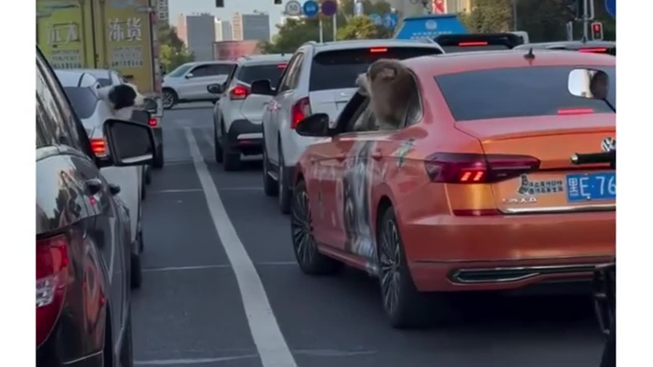 Not the little one 🤣