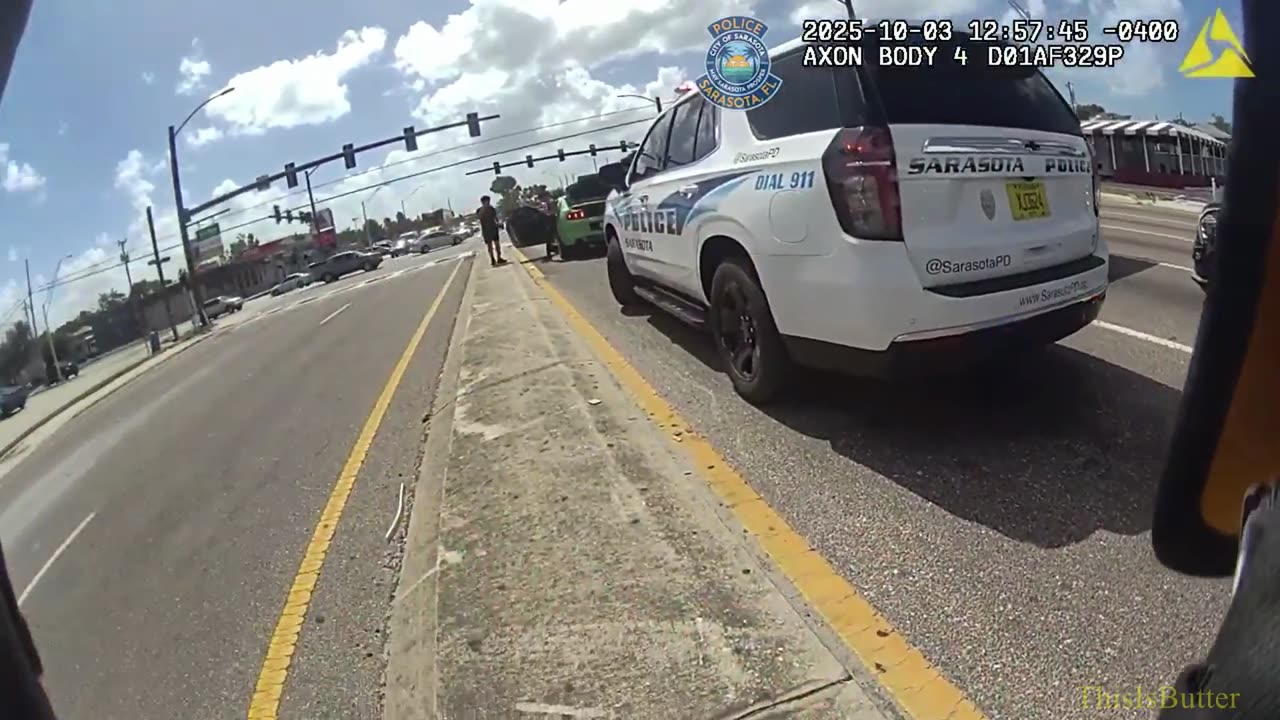 Sarasota police officer turns ‘kitty-whisperer’ during traffic rescue