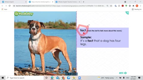 ESL Lesson Learn about Animal Movements