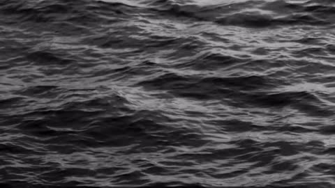 Daily Horoscope | Aquarius 🌟