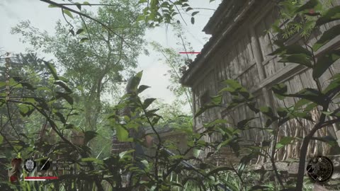 Wuchang Fallen Feathers 7