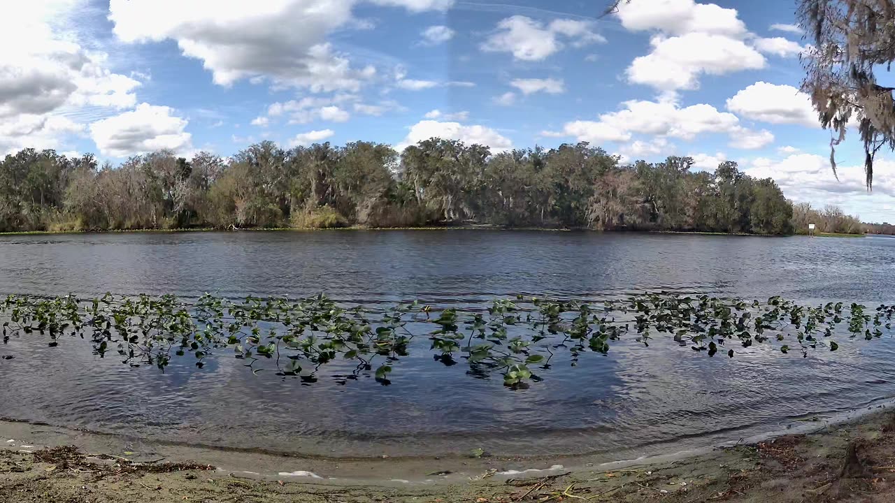 Riverview Time-Lapse: St. John’s Tranquil Tides (Jan 21, 2026)