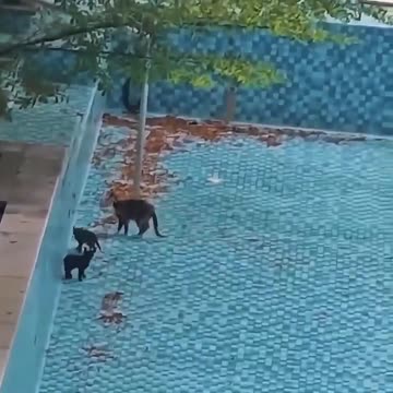 TEACH YOUR KIDS SOMETHING VALUABLE