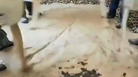 This Isn't a Floor-It's a 3D Art