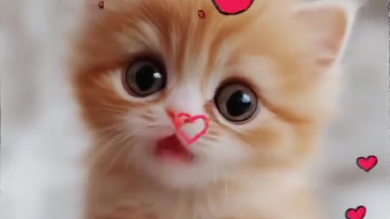 Garfiel 1