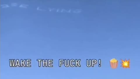 THE ARTIFICIAL FIRMAMENT