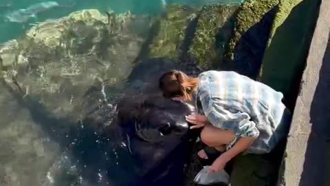 Woe Day 119. I am in the ark. Waiting for GOD to open the Door for a spring/summer Pentecost rapture