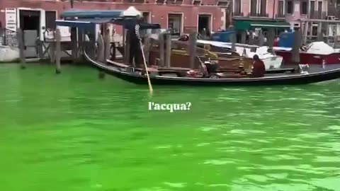 Greta Thunberg has been banned from entering Venice for two days