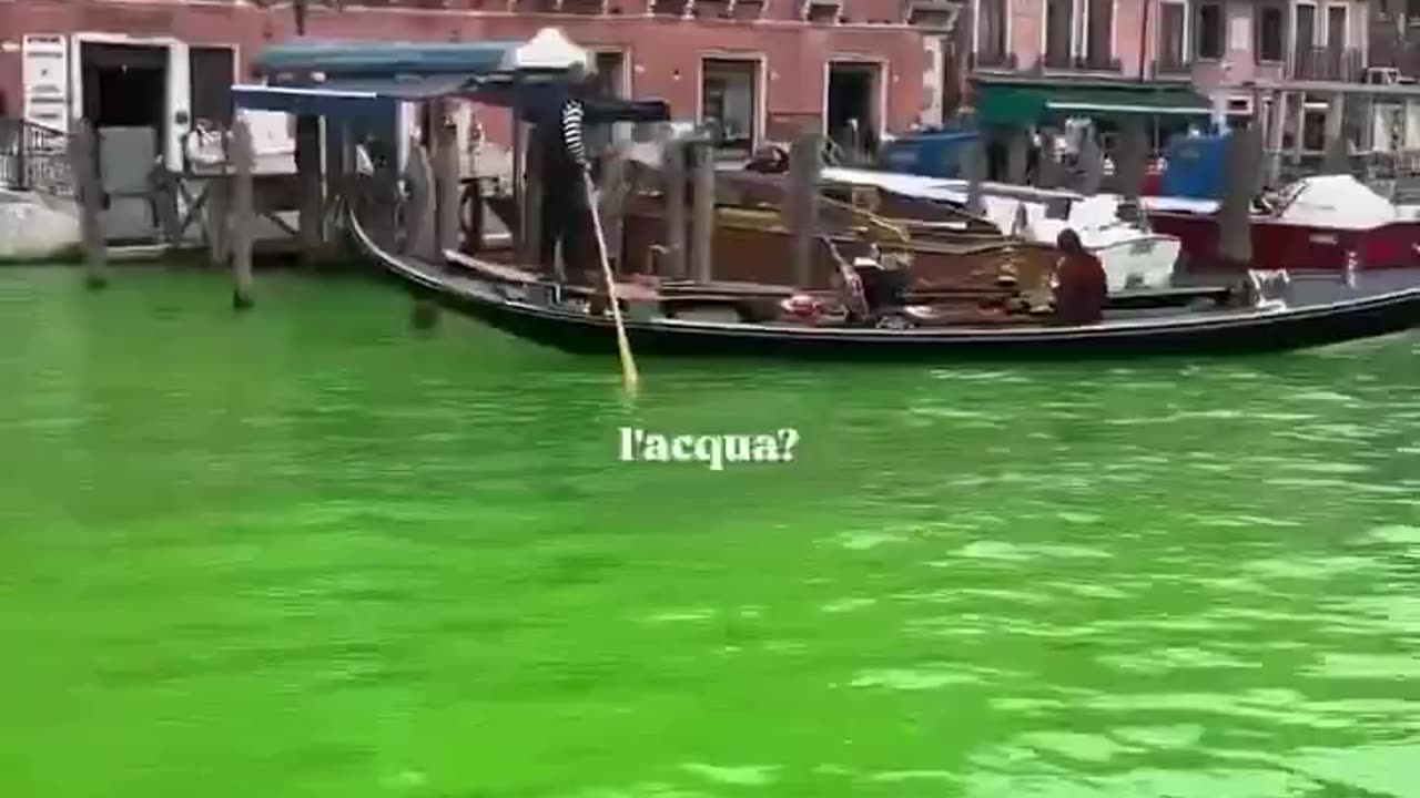 Greta Thunberg has been banned from entering Venice for two days