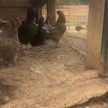 A fun filled day begins NOW!!!