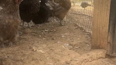 A fun filled day begins NOW!!!