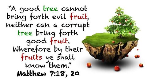 Sunday Talk with Jamal 12/Oct/25 Matthew 19-20 Fruit it bears