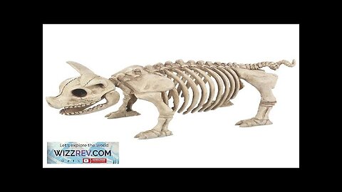 Pig Skeleton Decoration Review