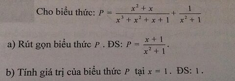 Toán 9: Cho biểu thức P=(x^2 + x)/(x^3+x^2+x+1) + 1/(x^2+1)