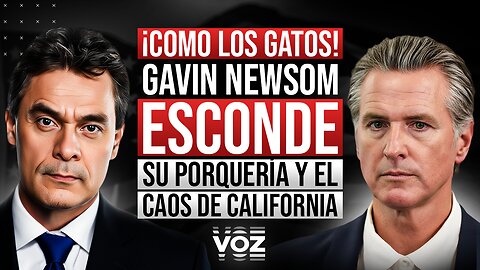 ¡Como los gatos! Gavin Newsom esconde su porquería y el caos de California