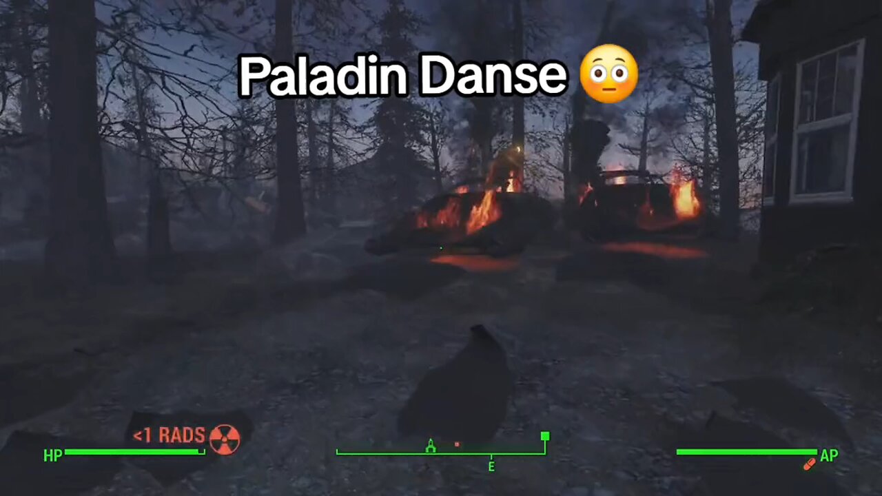 Paladin Danse Overkill