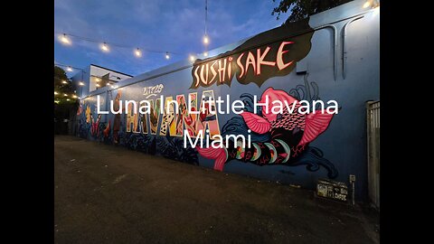 Luna in Little Havana Miami