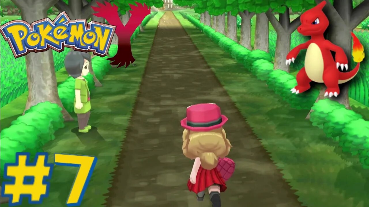 Pokémon Y - Episode 7: Path to the Palace