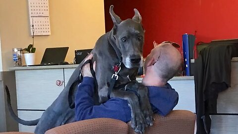 Vet Becomes Best Friends With All The Dogs ❤️