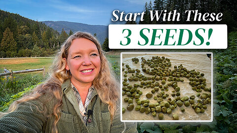 Seed Saving for Beginners (The 5 Easiest Seeds to Start With)