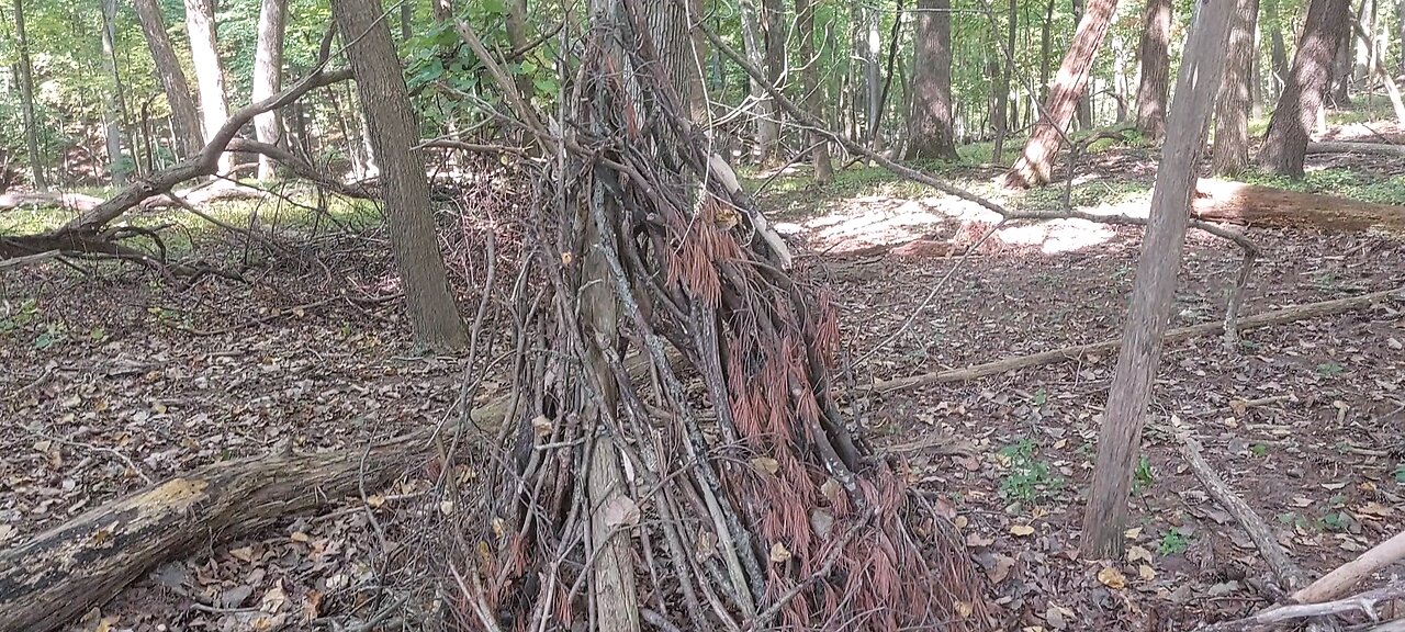 Sasquatch evidence found in NE Iowa? NE Iowa Area Revisit Pt. 1