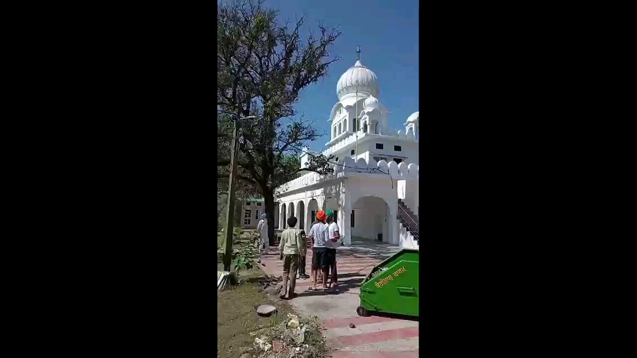 satisfying Video