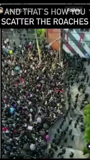 The Tunnell Take And thats how you scatter roaches!