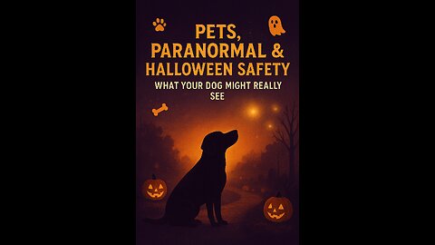 "Pets, Paranormal & Halloween Safety: What Your Dog Might Really See"