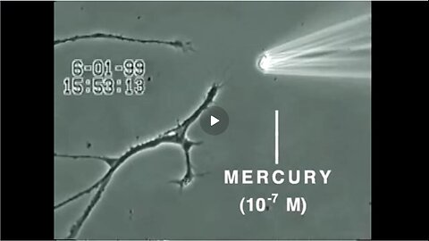 How Mercury Causes Brain Neuron Damage