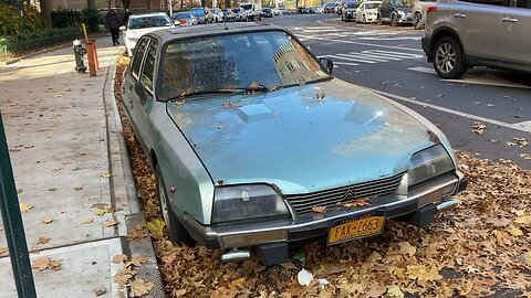 Lamb Skin Luxury (Manhattan)