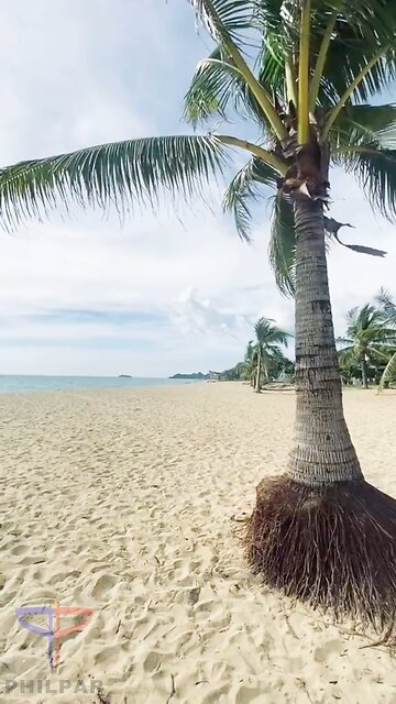 Poblacion Beach: The Jewel of the Sugar Beach Coast